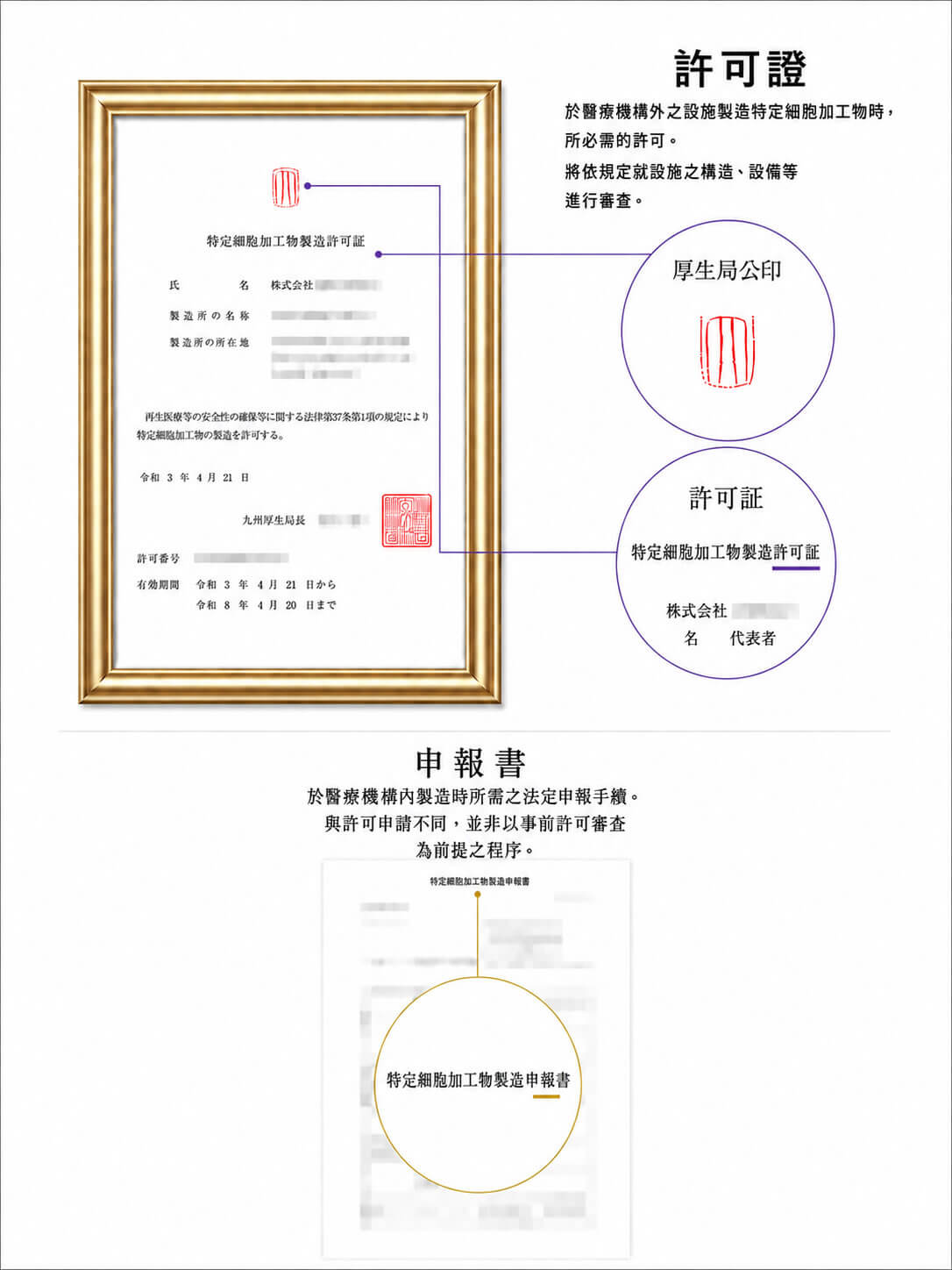 細胞加工許可與申報制度